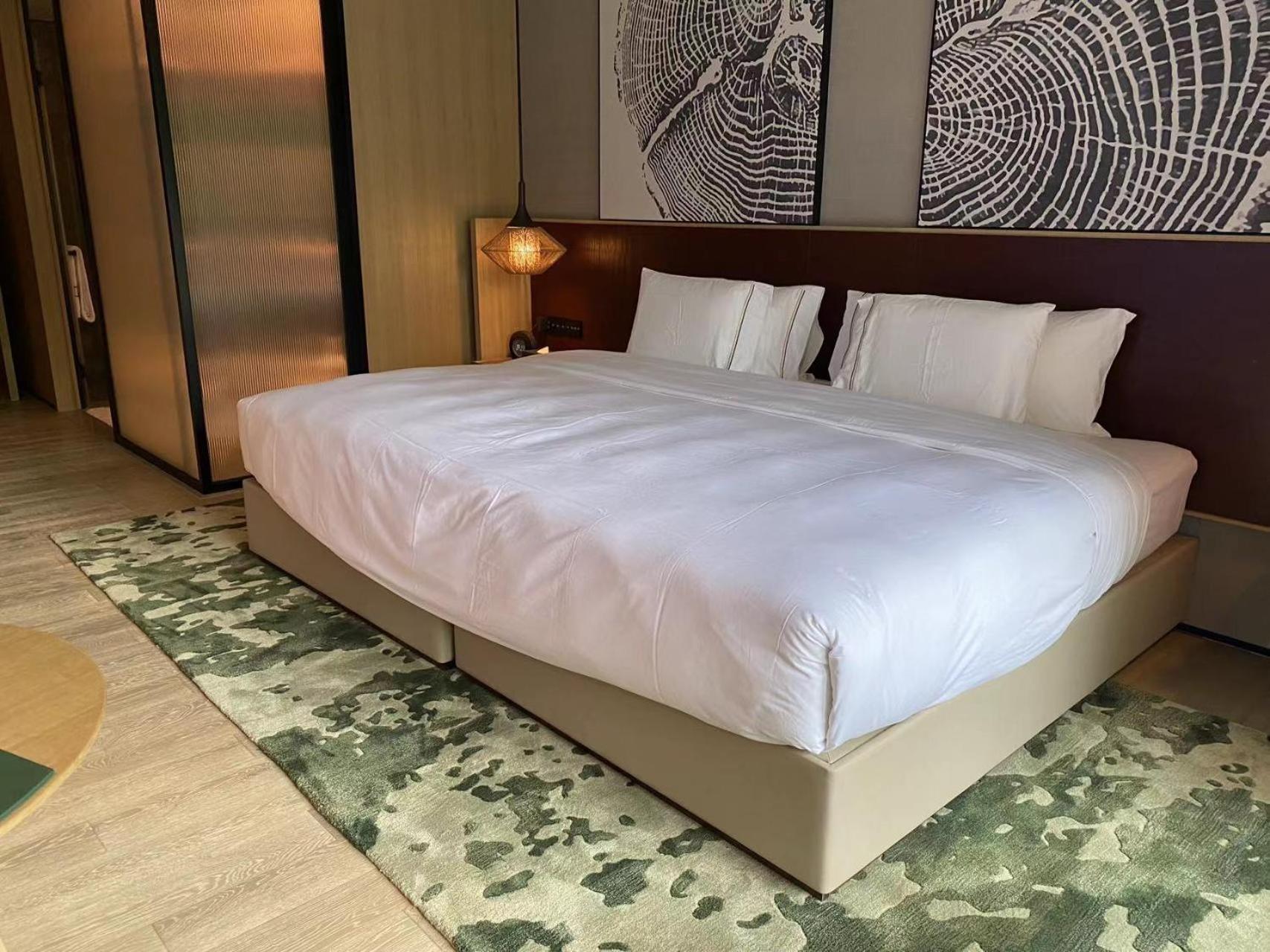 Hotel Melia Chongqing Esterno foto